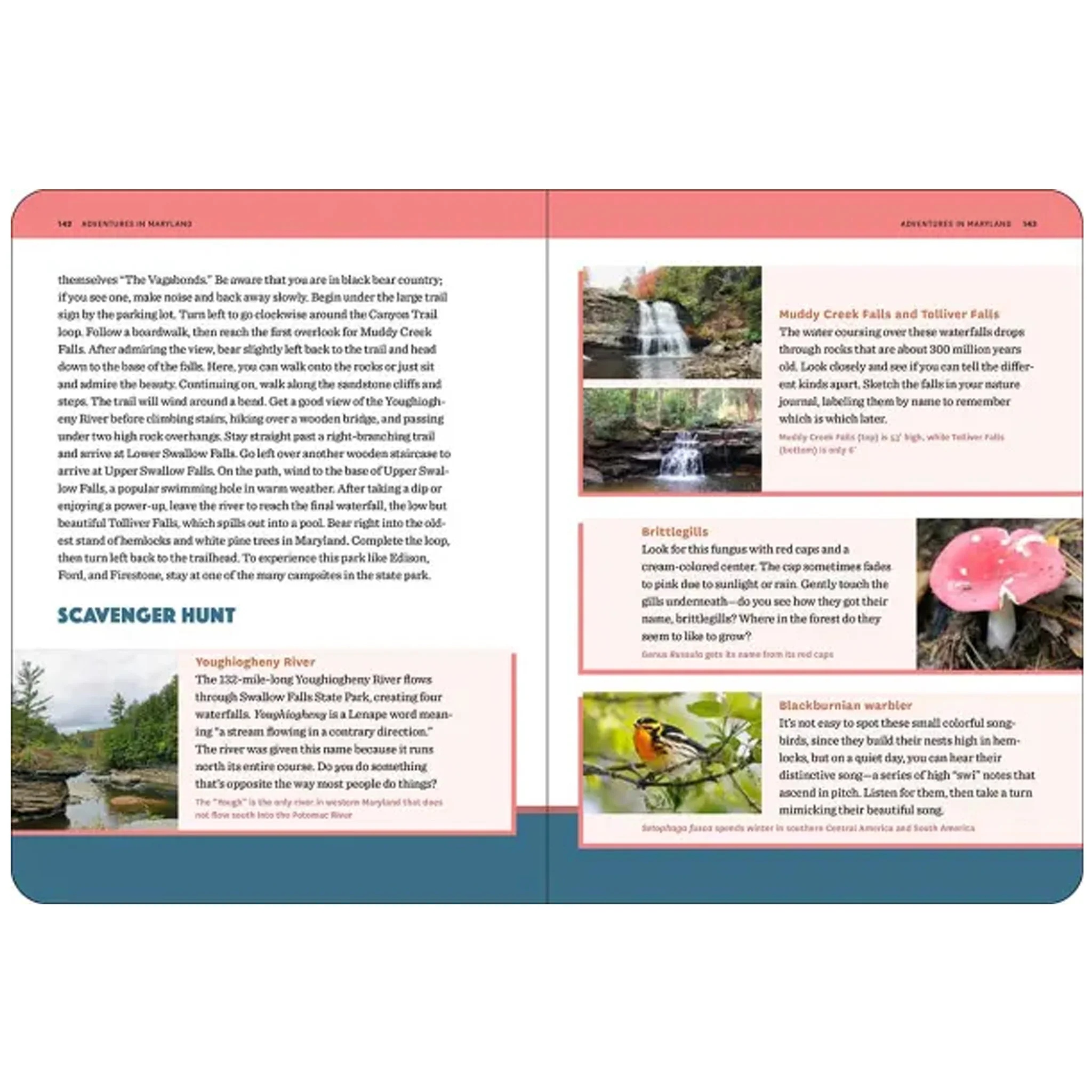 50 Hikes With Kids Virginia And Maryland Book - Image 4