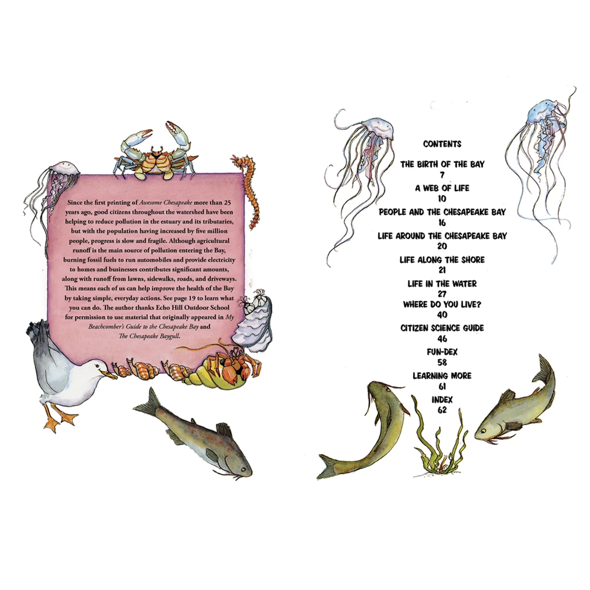 Awesome Chesapeake: A Kid's Guide to the Bay Children's Book - Image 2