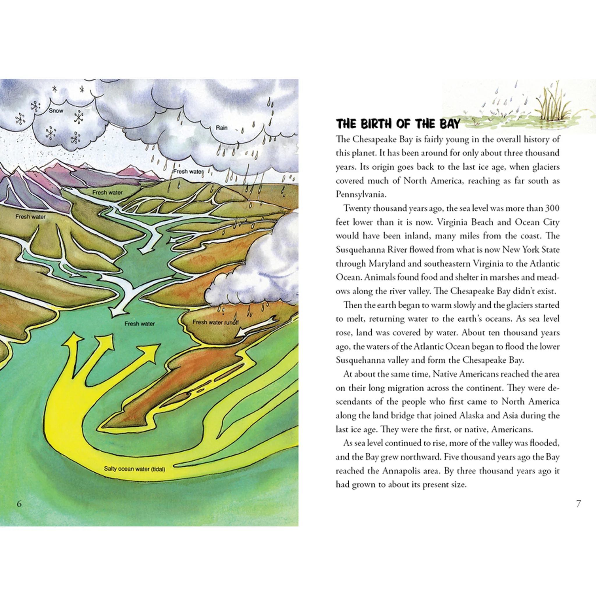 Awesome Chesapeake: A Kid's Guide to the Bay Children's Book - Image 3