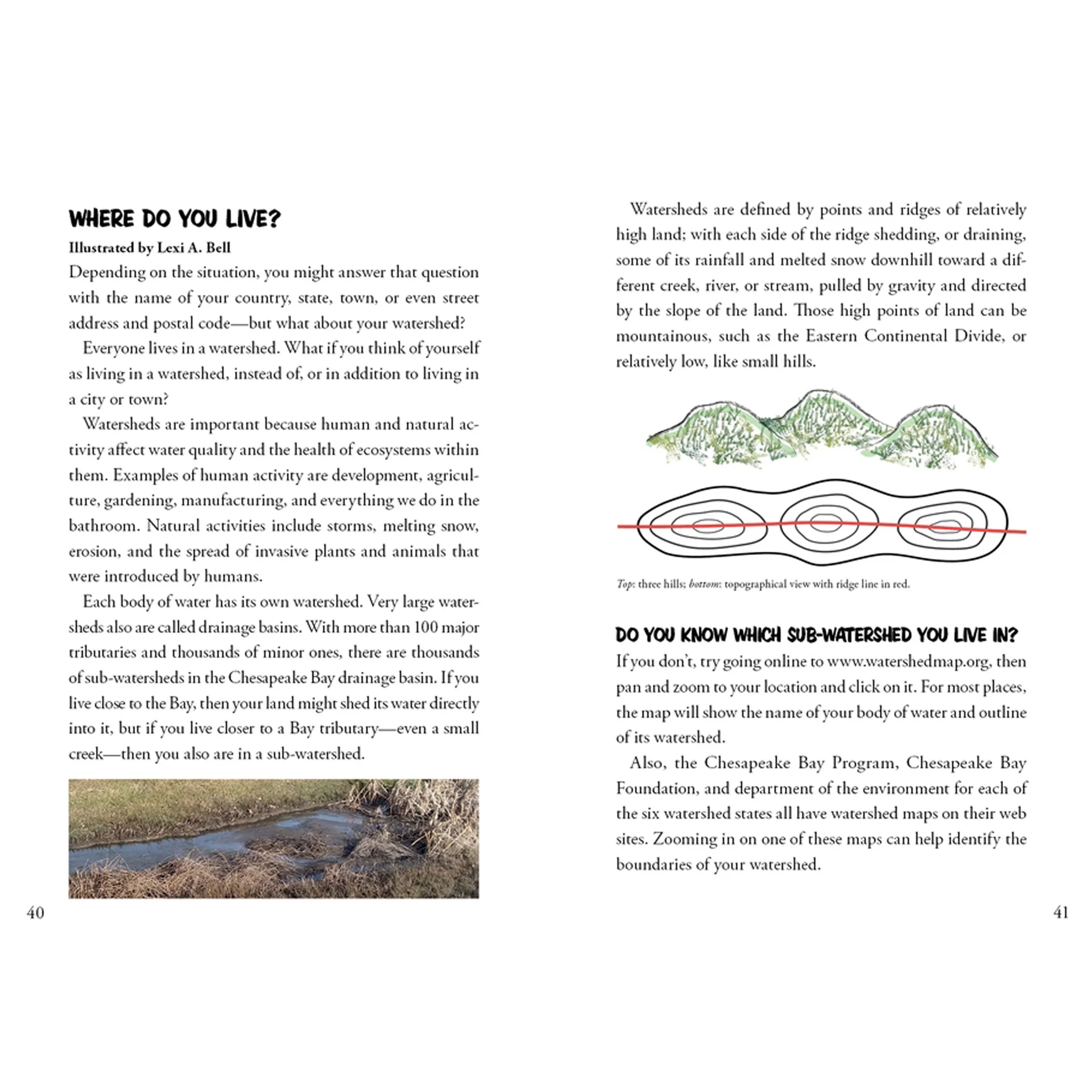 Awesome Chesapeake: A Kid's Guide to the Bay Children's Book - Image 5