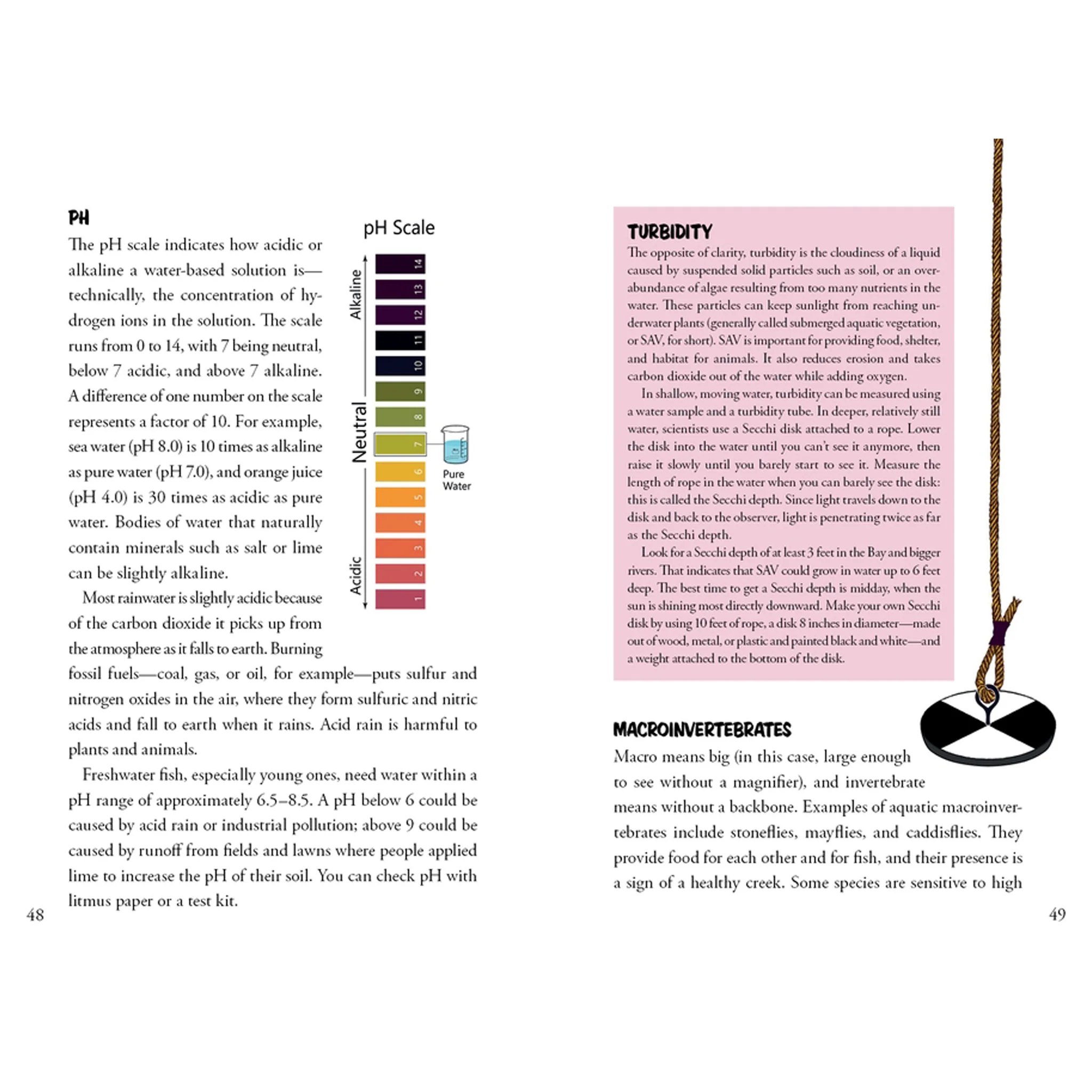 Awesome Chesapeake: A Kid's Guide to the Bay Children's Book - Image 6