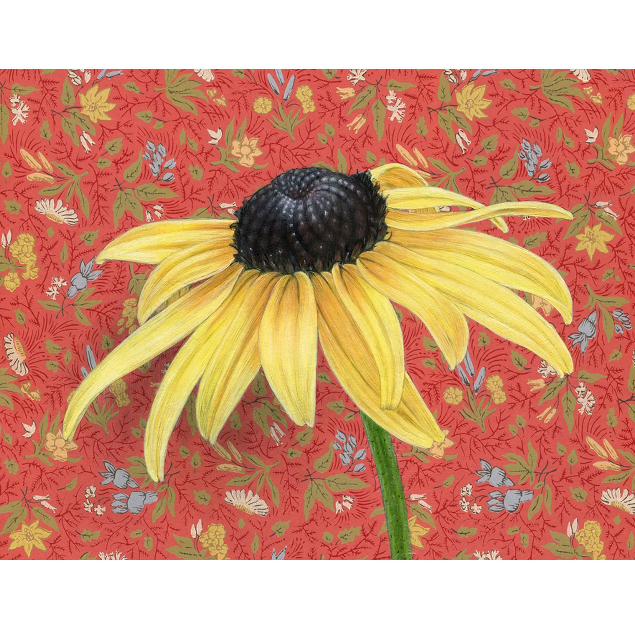 Black Eyed Susan Art Textured Notecard