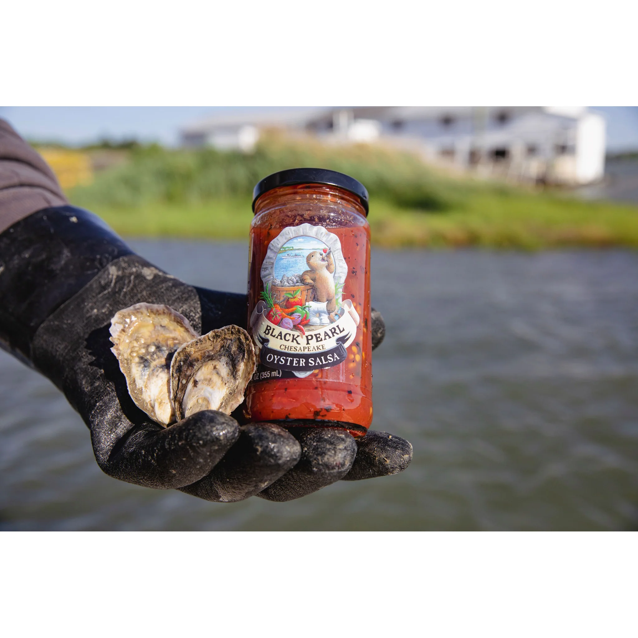 Black Pearl Chesapeake Oyster Salsa - Image 4