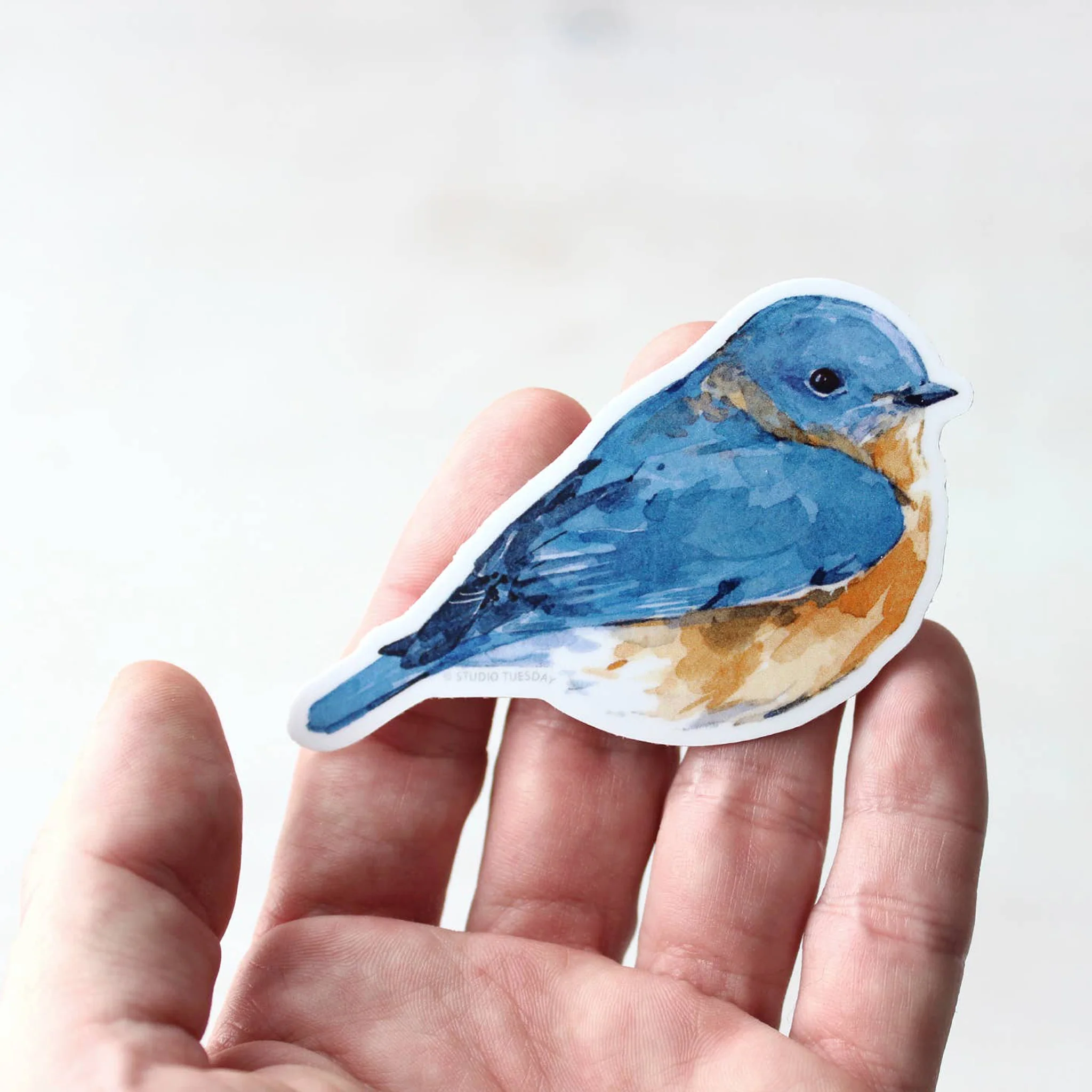 Eastern Bluebird Watercolor Vinyl Sticker - Image 2