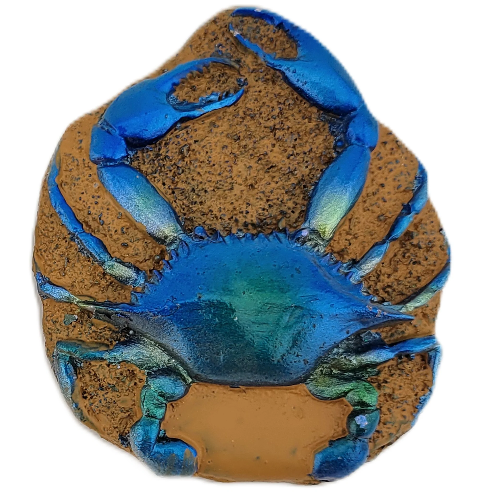 Blue Crab on Sand Style Magnet Assorted - Image 3
