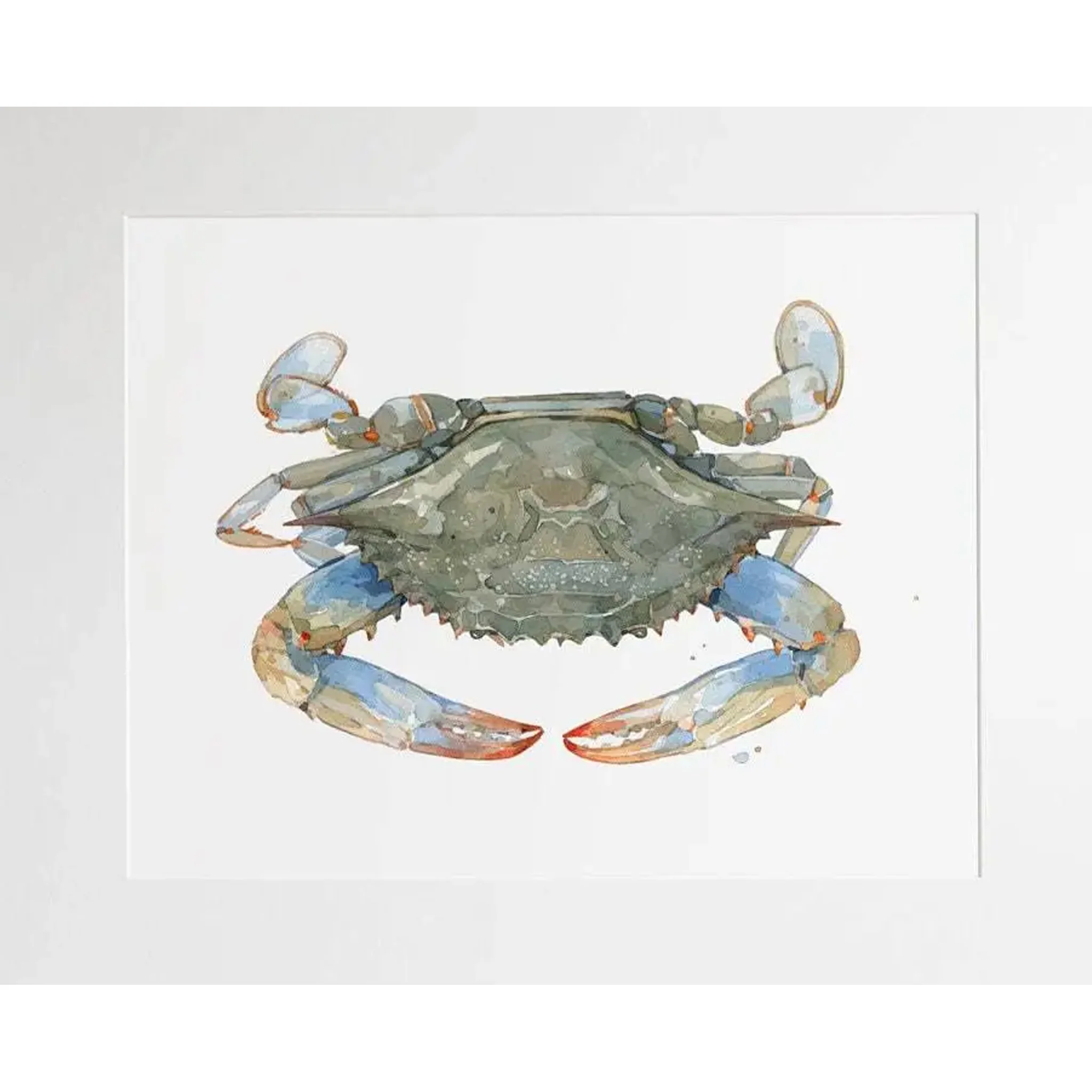 Blue Crab Watercolor Art Print - Matted