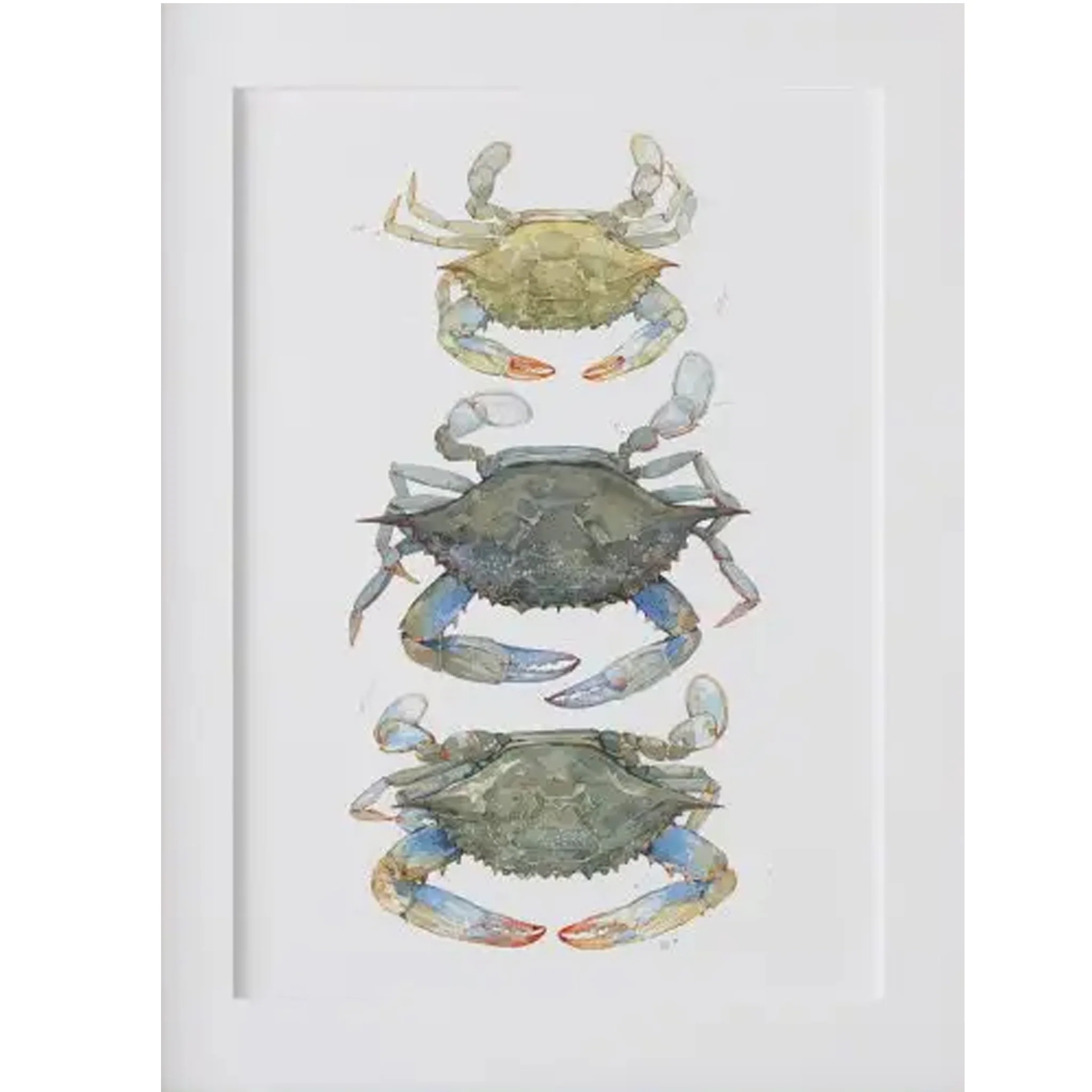 Blue Crabs Tier Watercolor Art Print - Matted