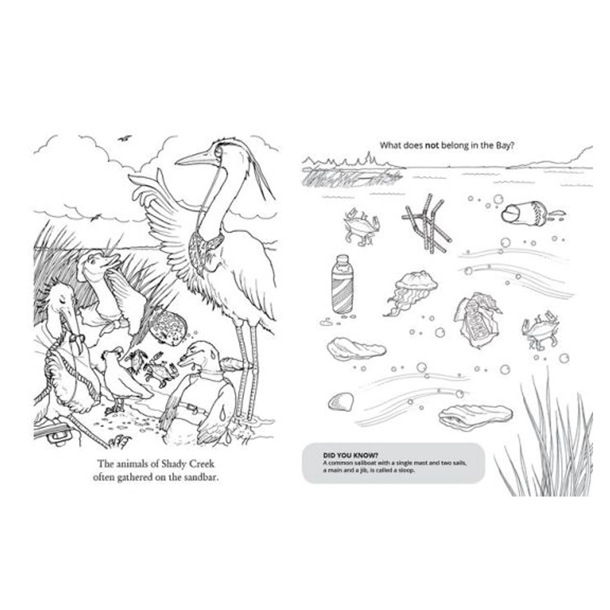 Chadwick the Crab Activity Book - Image 4