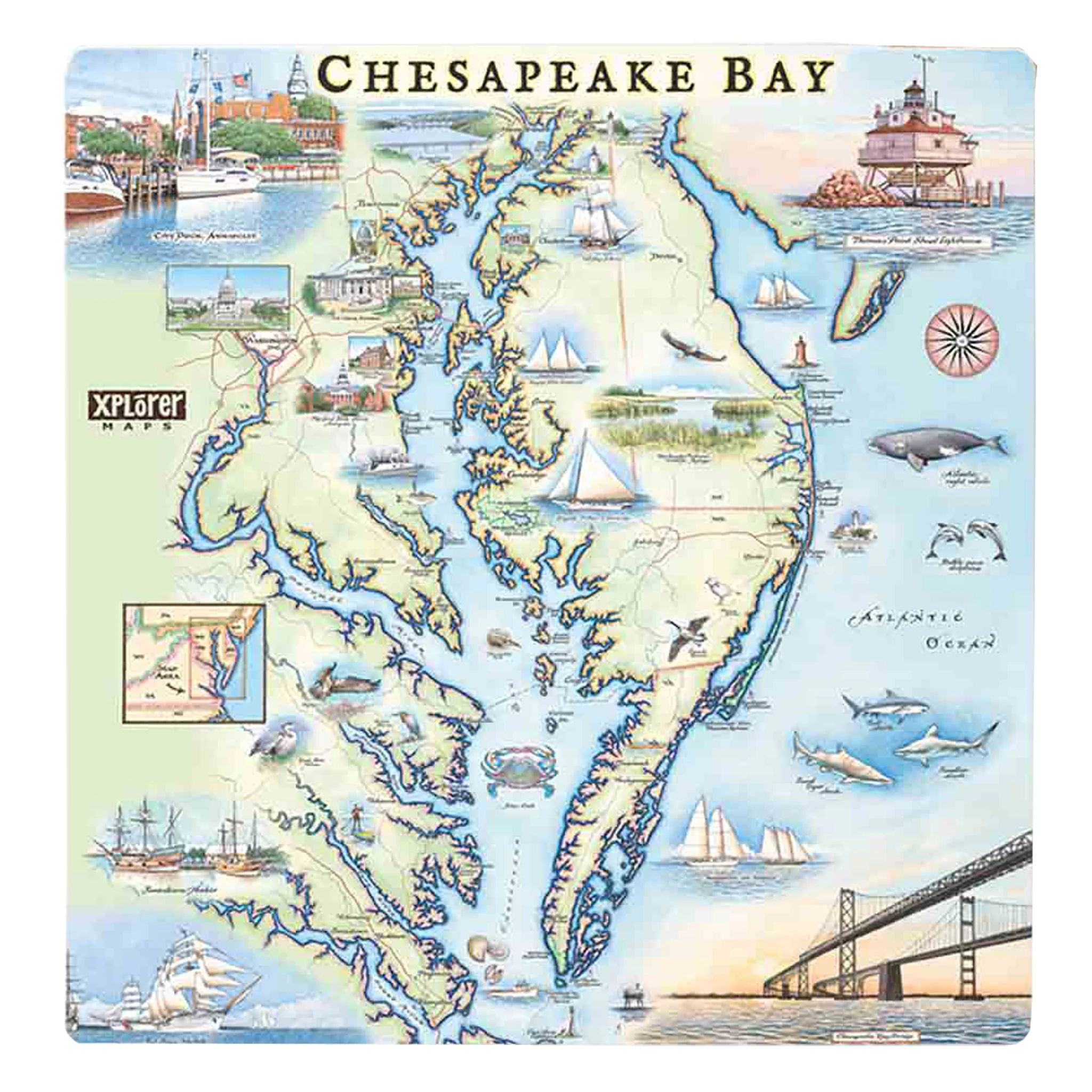 Chesapeake Bay Map Ceramic Drink Coaster