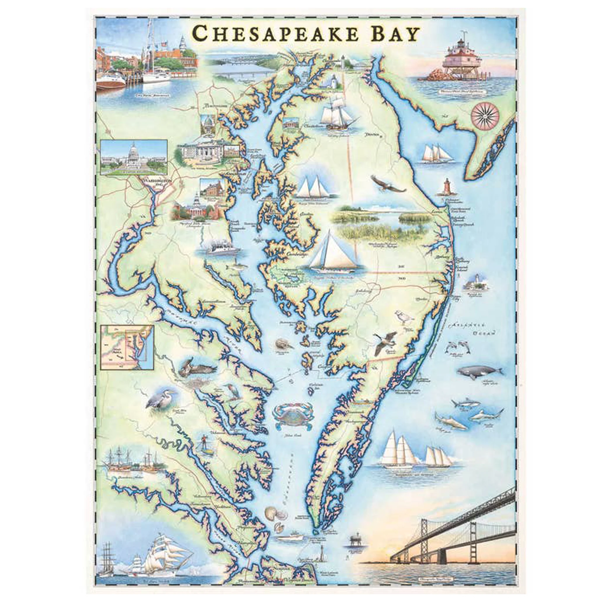 Chesapeake Bay Map Stainless Steel Travel Tumbler - Image 5