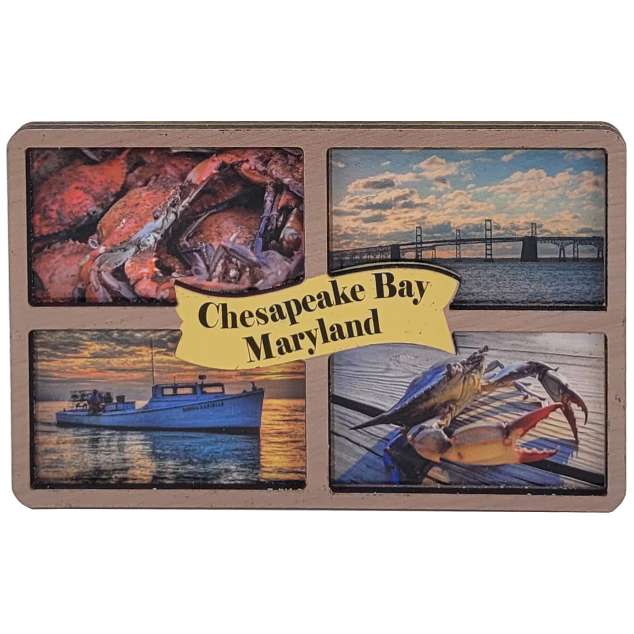 Chesapeake Bay Maryland Symbols Windowpane Magnet