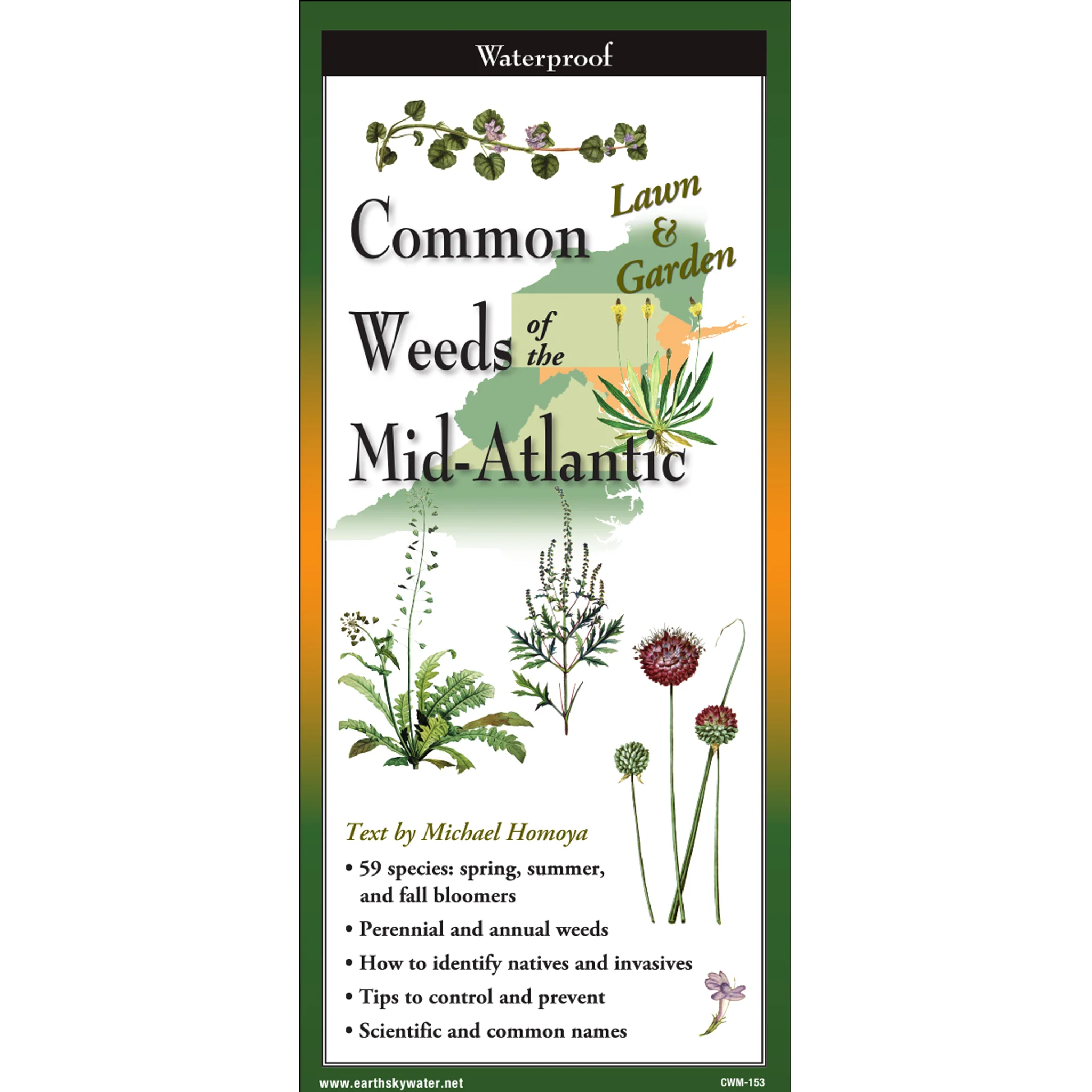 Common Weeds of the Mid-Atlantic Folding Guide
