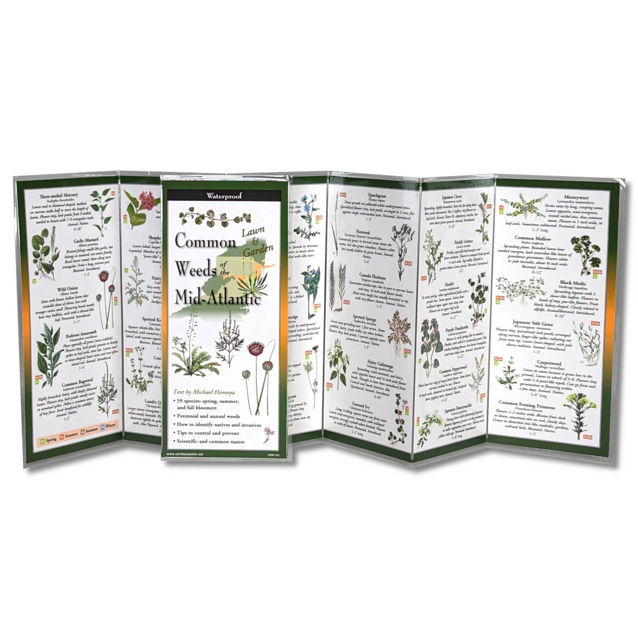 Common Weeds of the Mid-Atlantic Folding Guide - Image 2