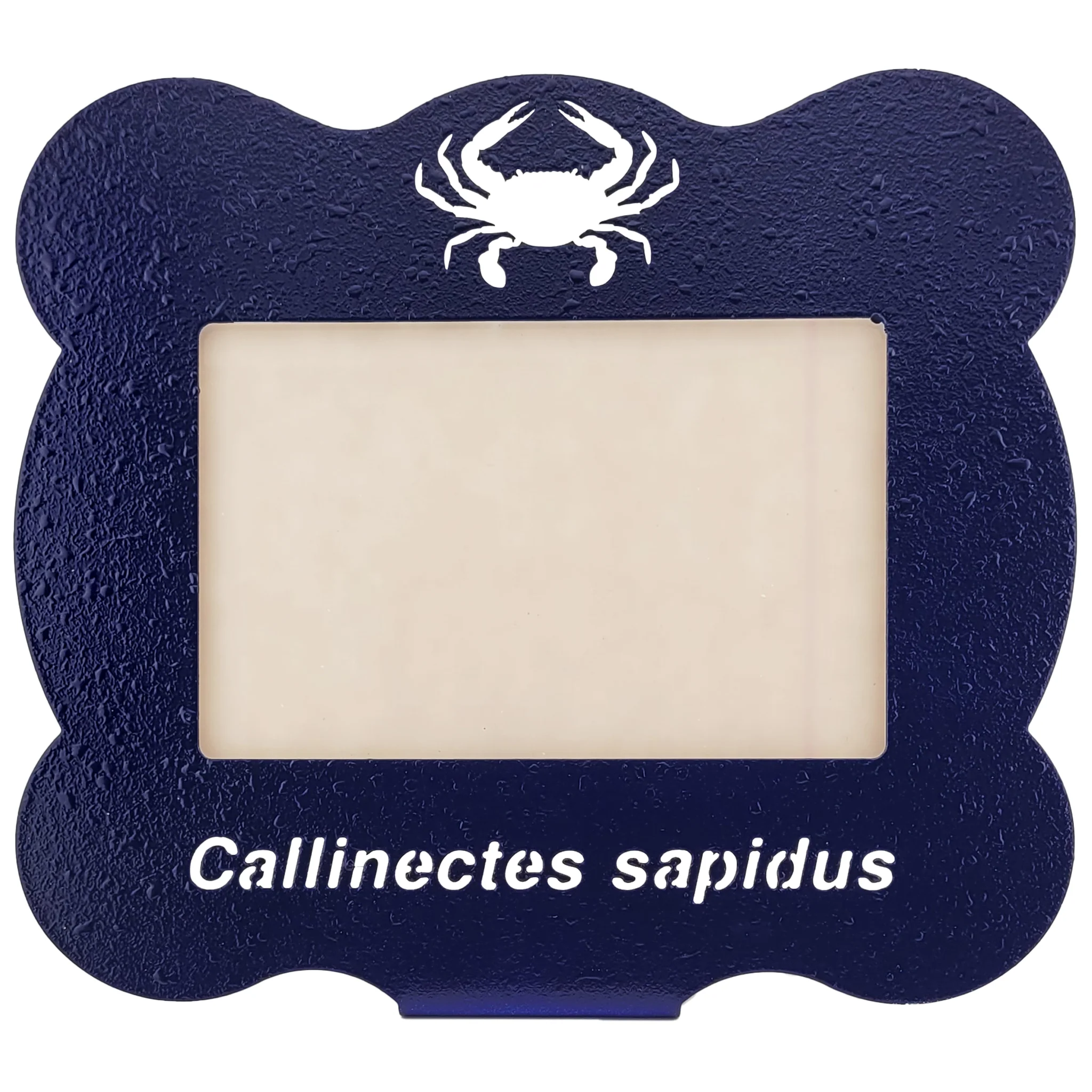 Crab Callinectes Sapidus Laser Cut Steel Picture Frame