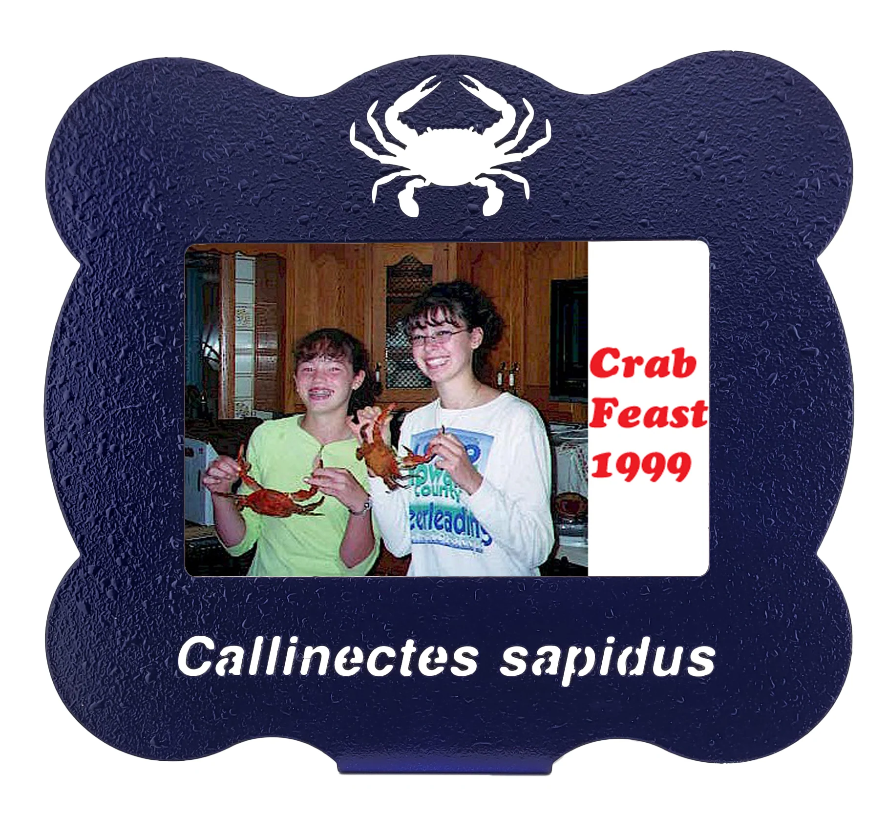 Crab Callinectes Sapidus Laser Cut Steel Picture Frame - Image 2