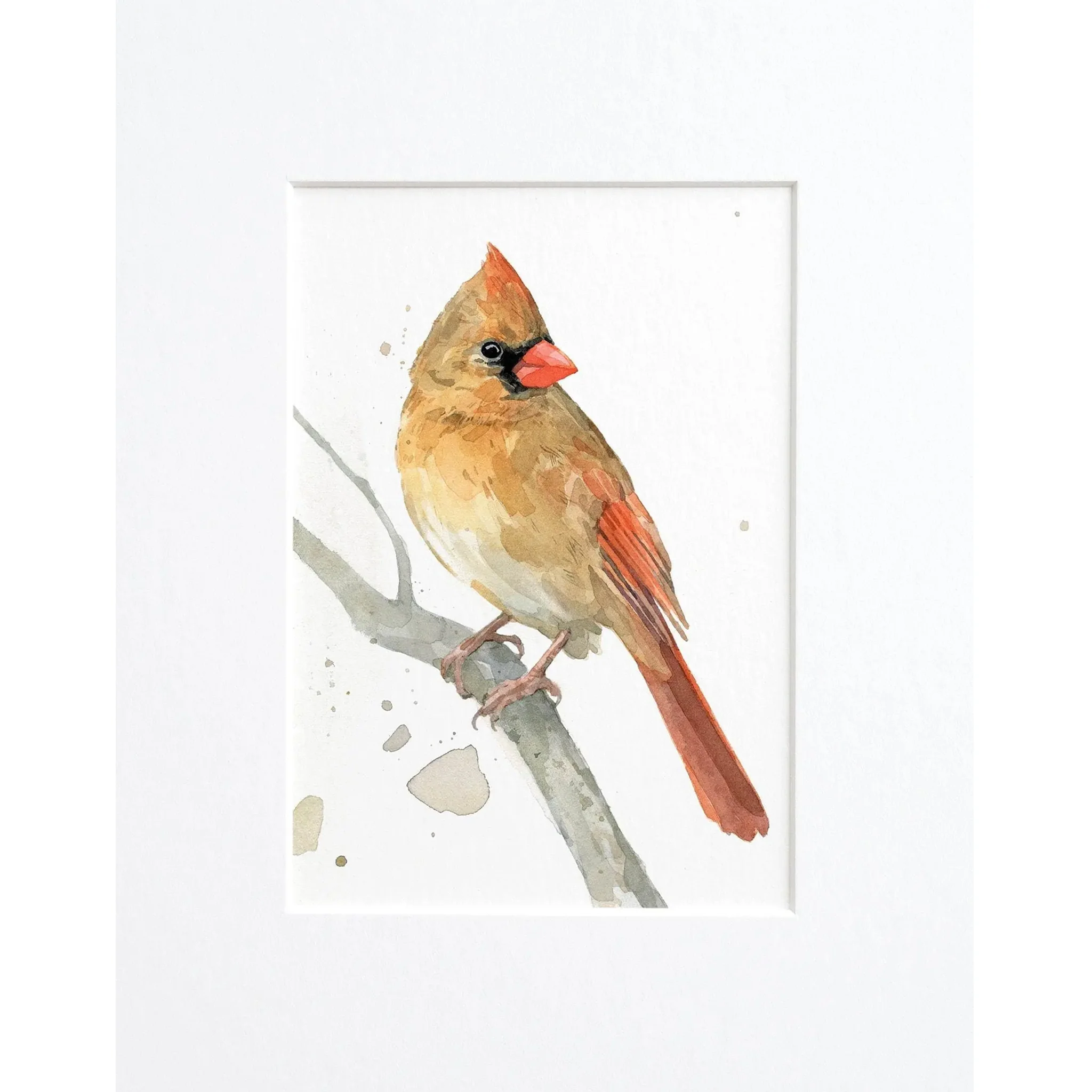 Female Cardinal Watercolor Art Print - Matted