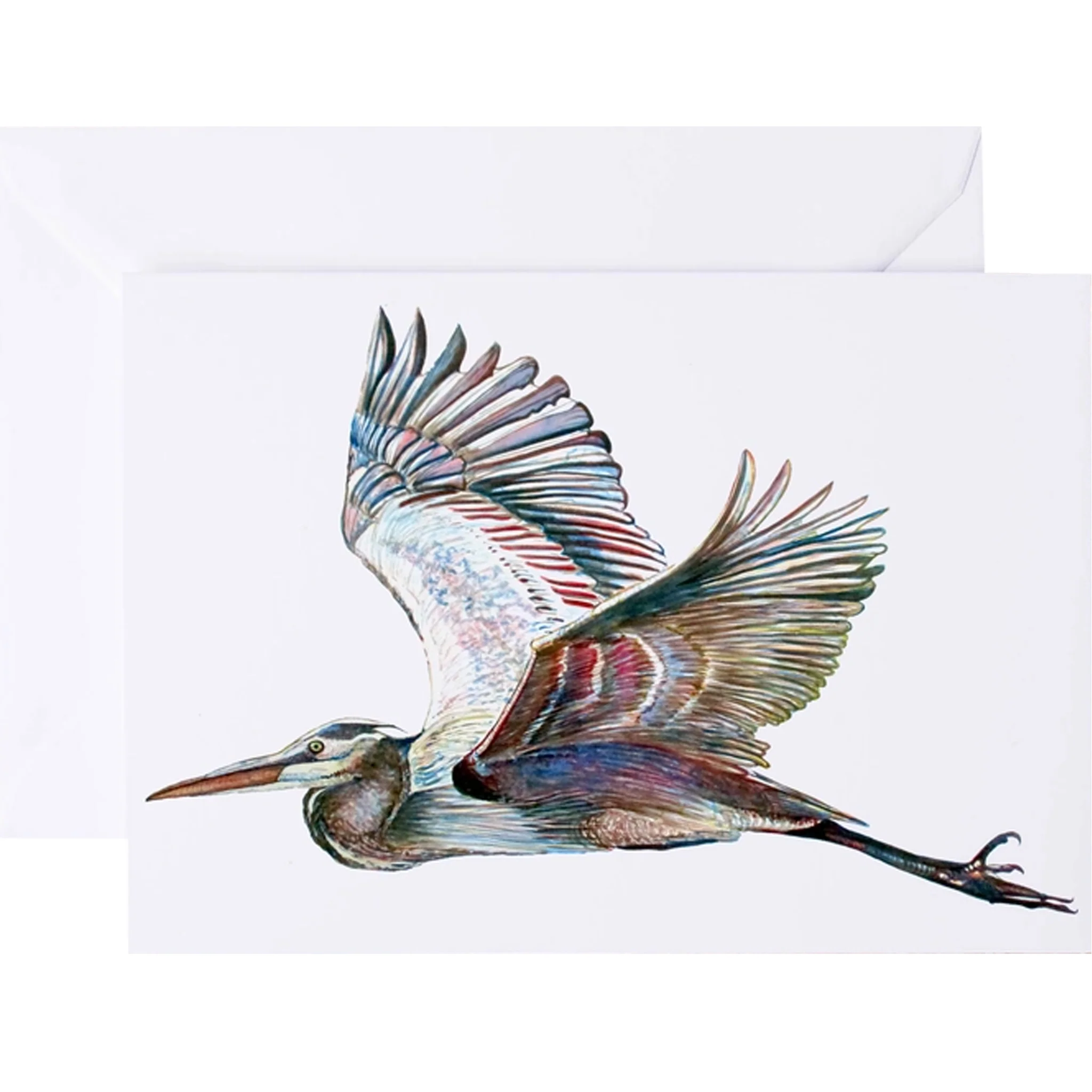 Flying Blue Heron Watercolor Art - Print or Greeting Card