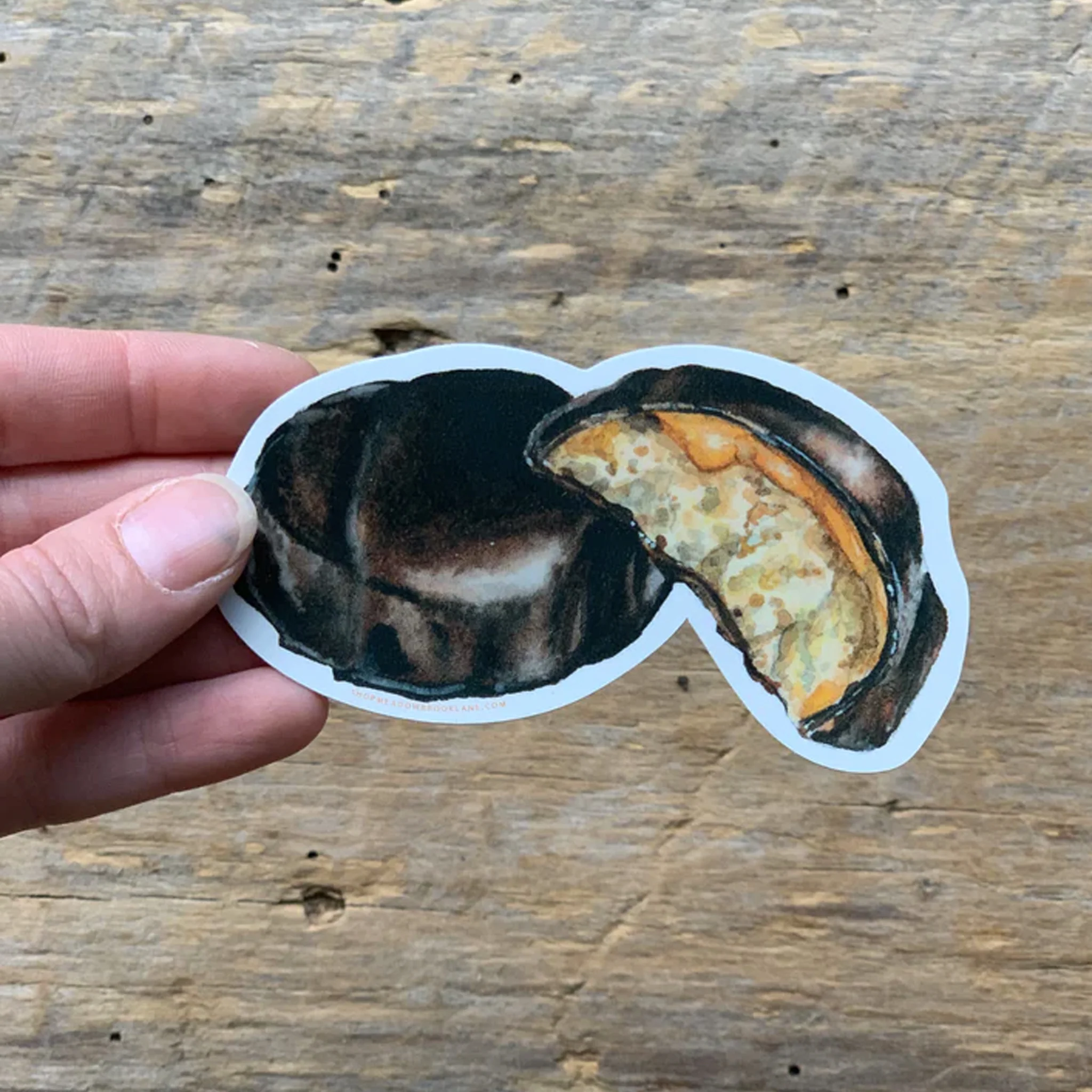 Kandy Kake Die Cut Vinyl Sticker - Image 2