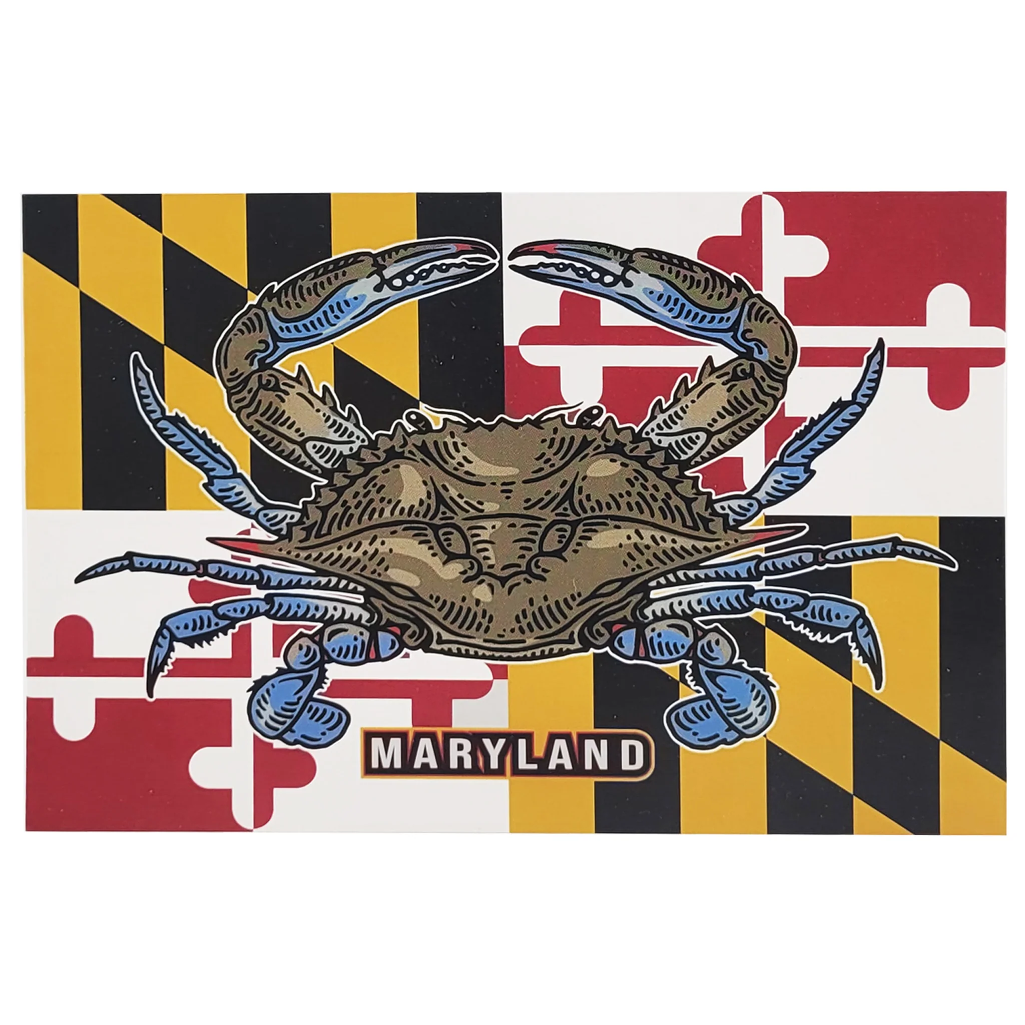 Postcard - Maryland Flag and Natural Blue Crab