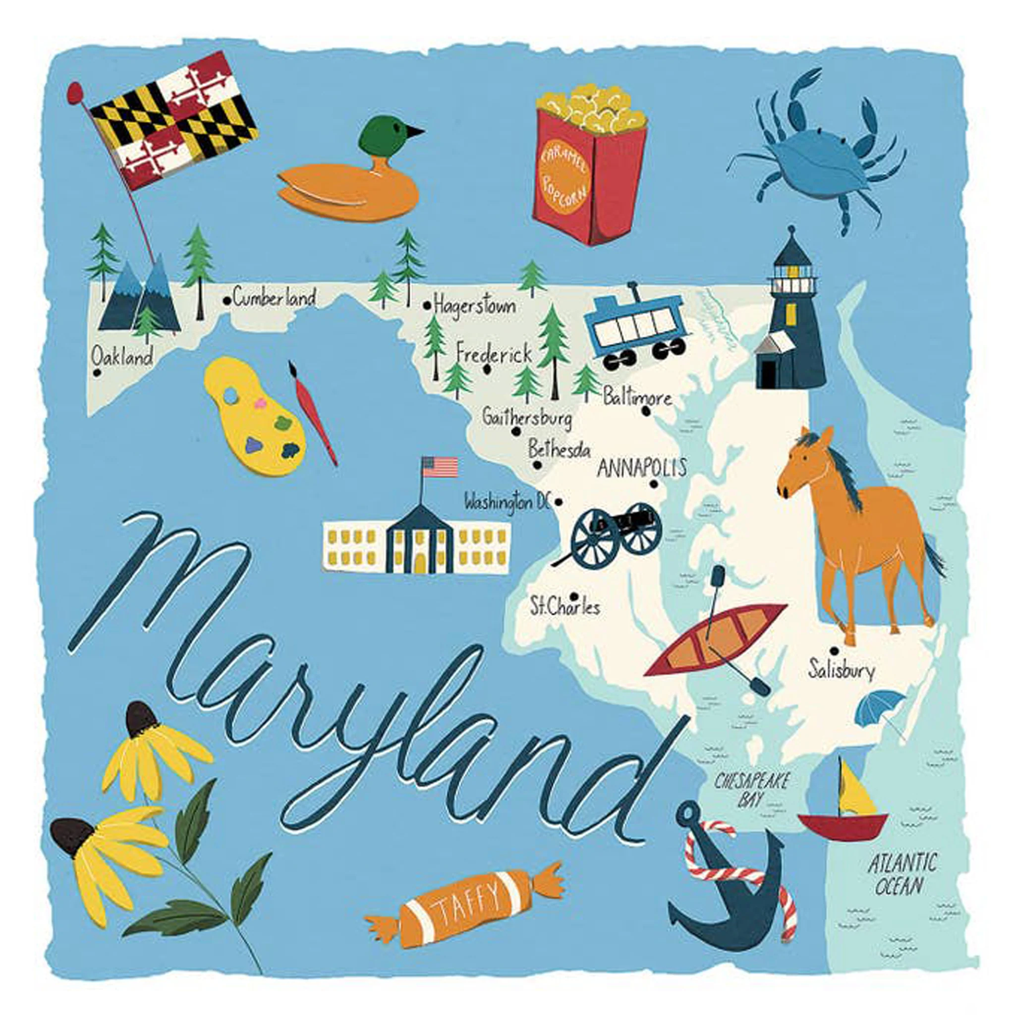 Maryland State Collage Tumbled Edge Stone Drink Coaster