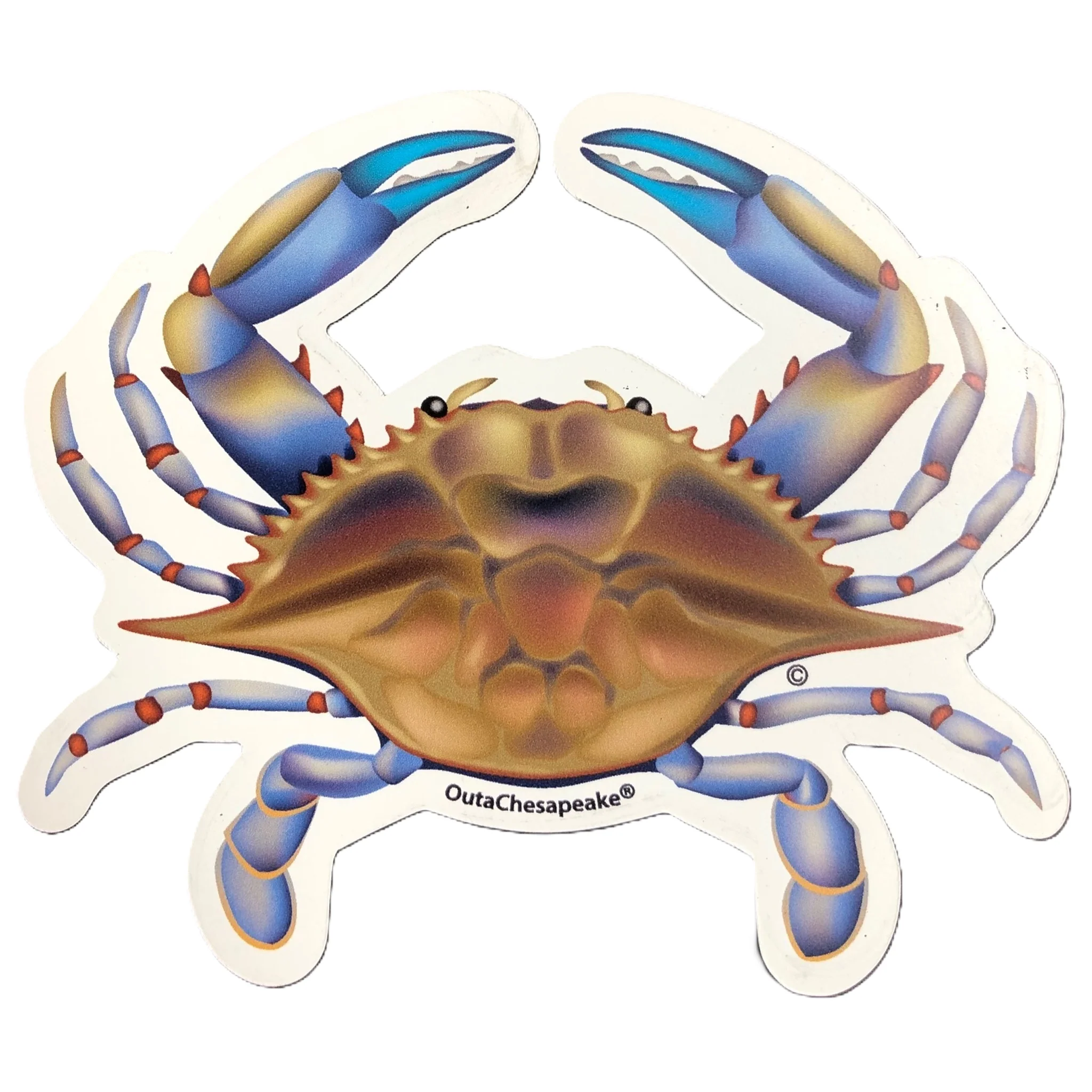 Natural Blue Crab Jimmy Sticker