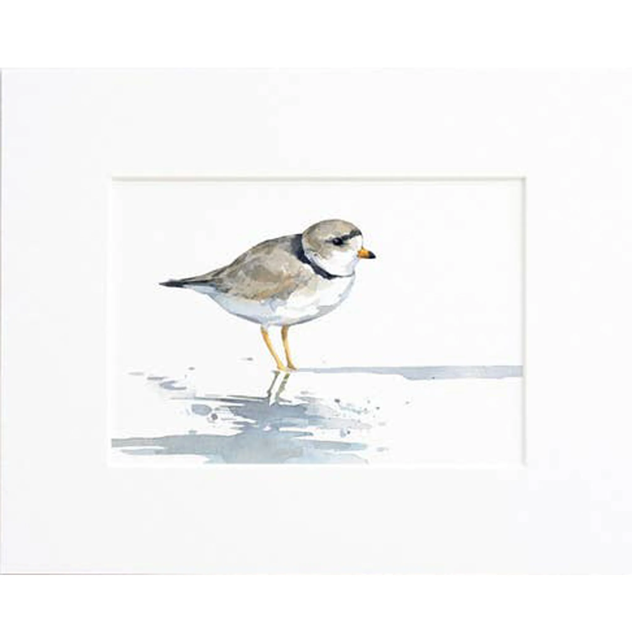 Piping Plover Watercolor Art Print - Matted