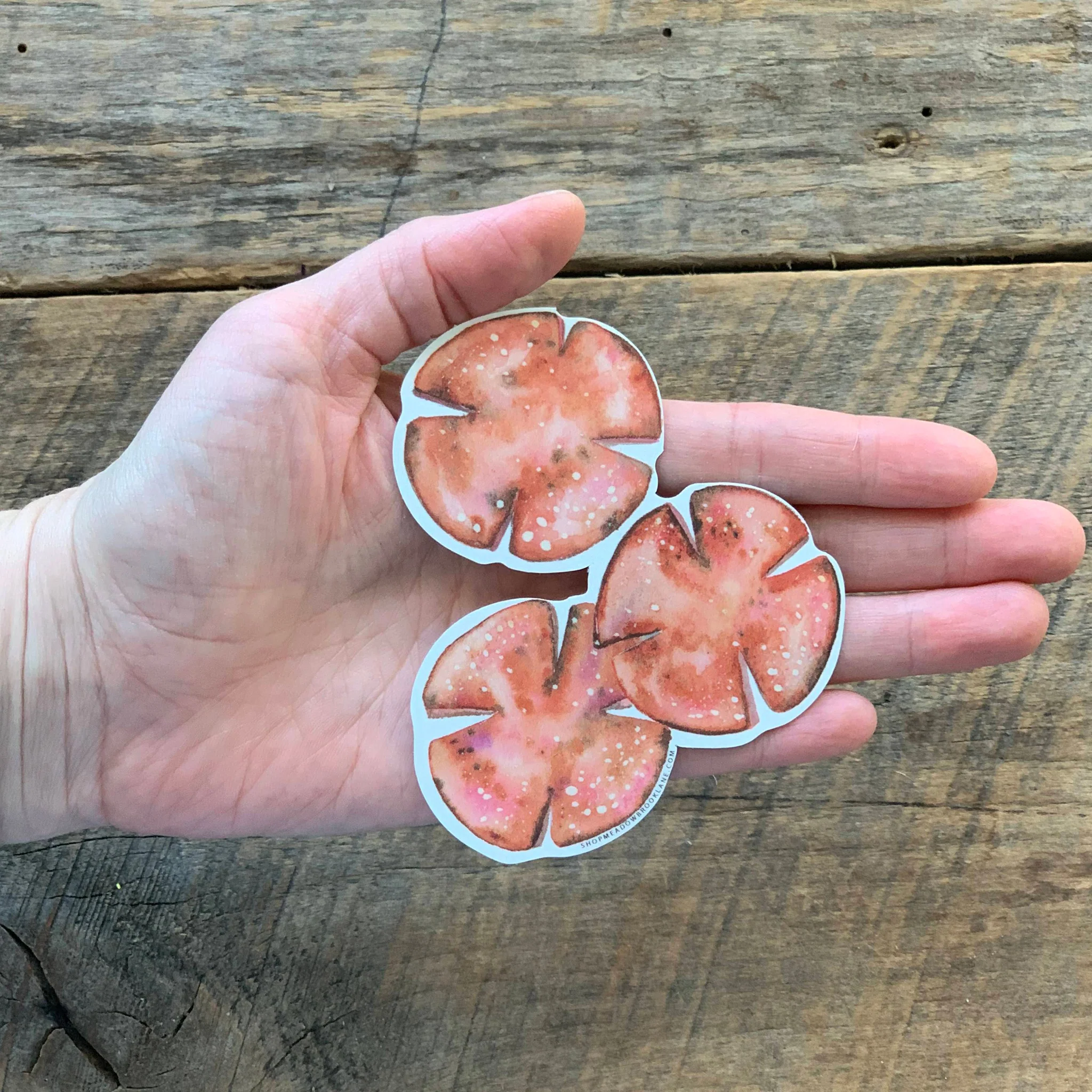 Pork Roll Die Cut Vinyl Sticker - Image 2