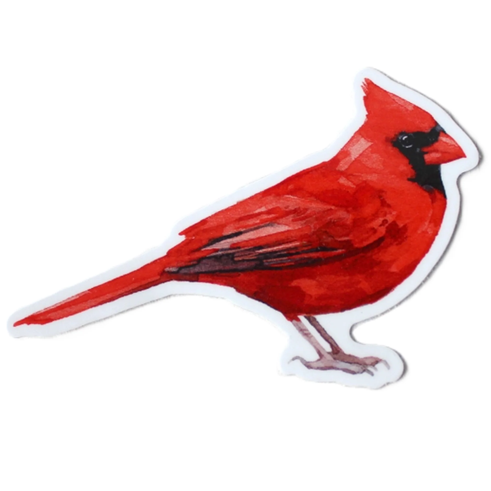 Red Cardinal Bird Watercolor Vinyl Sticker