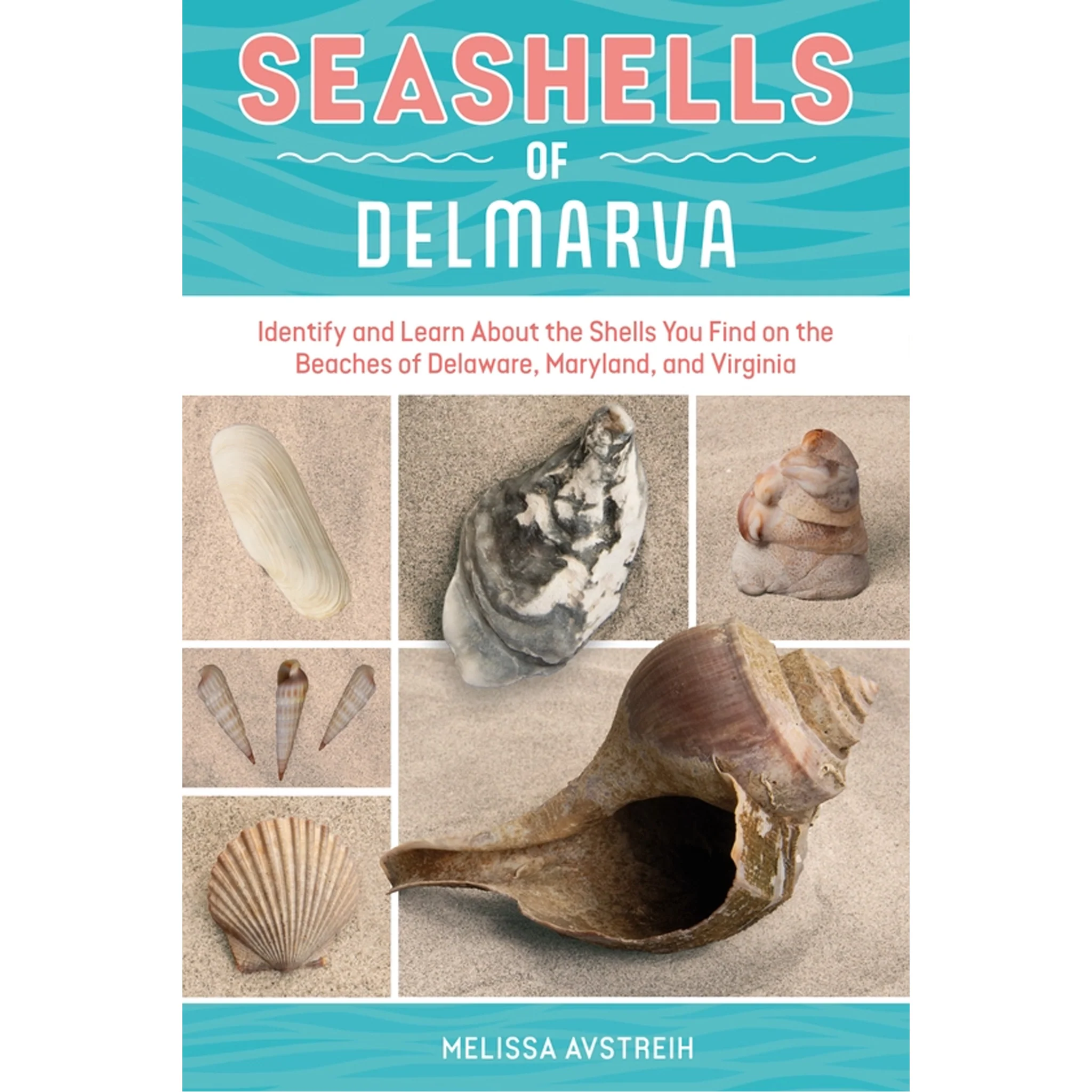 Seashells of Delmarva Identify and Learn Book