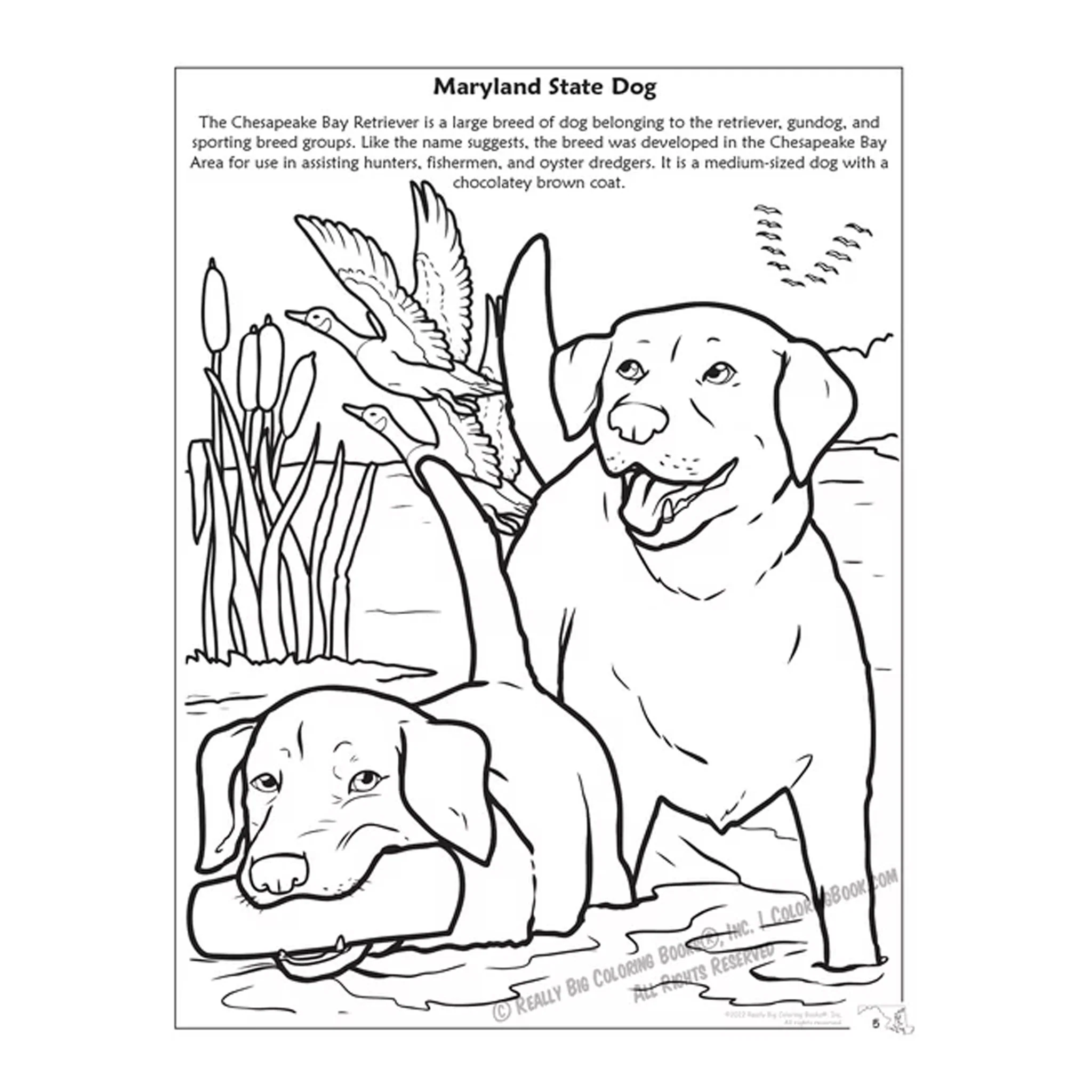 State of Maryland Coloring and Activity Book - Image 2