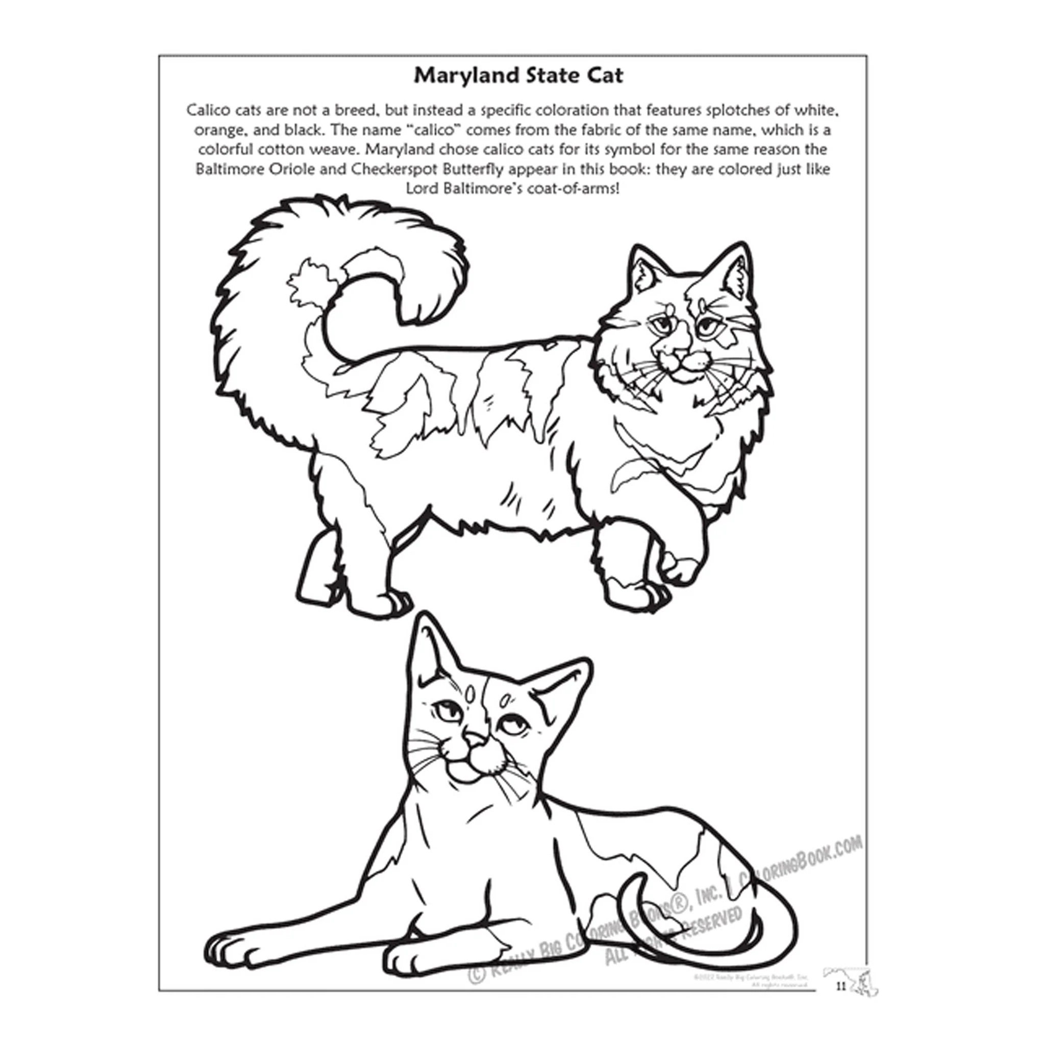 State of Maryland Coloring and Activity Book - Image 3