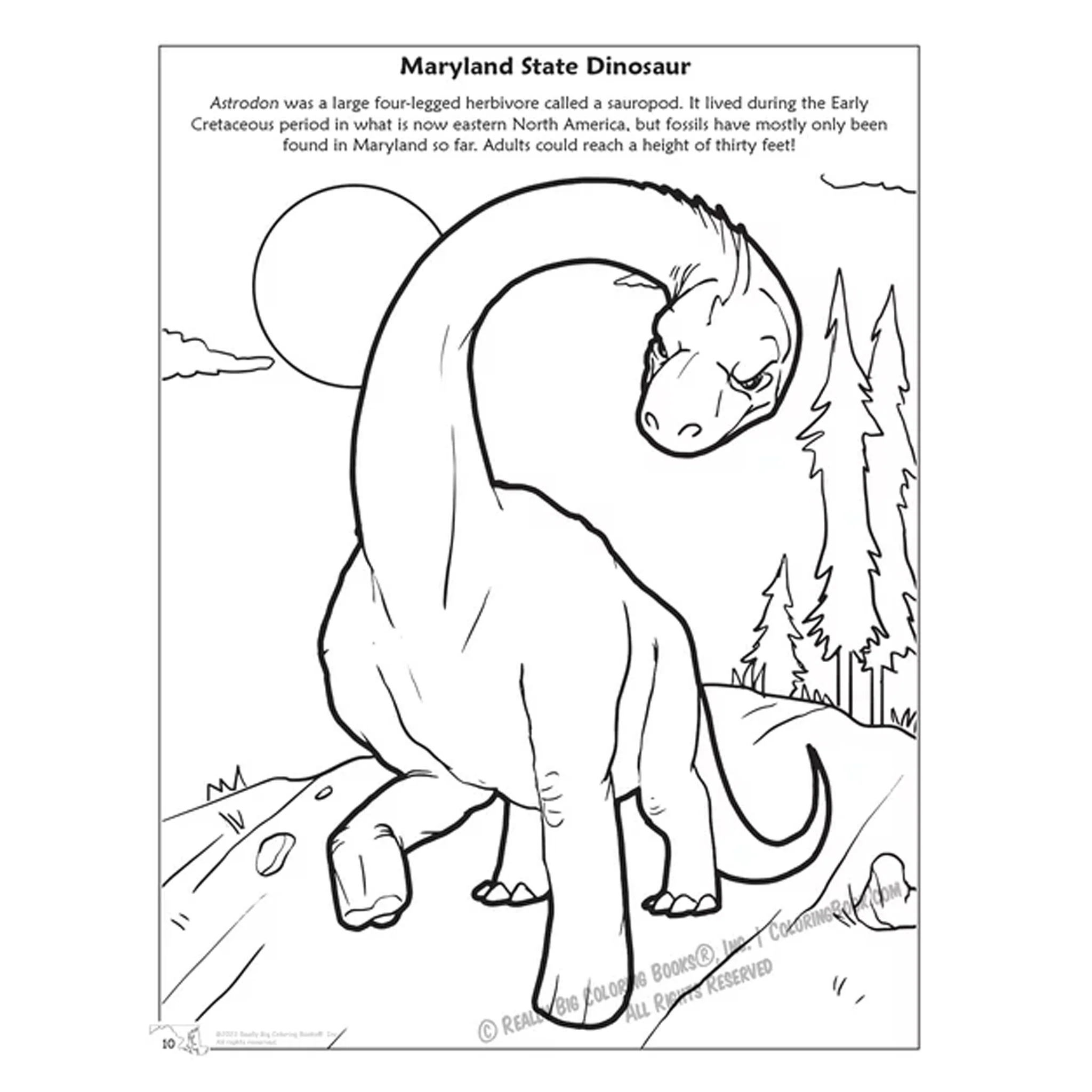 State of Maryland Coloring and Activity Book - Image 4