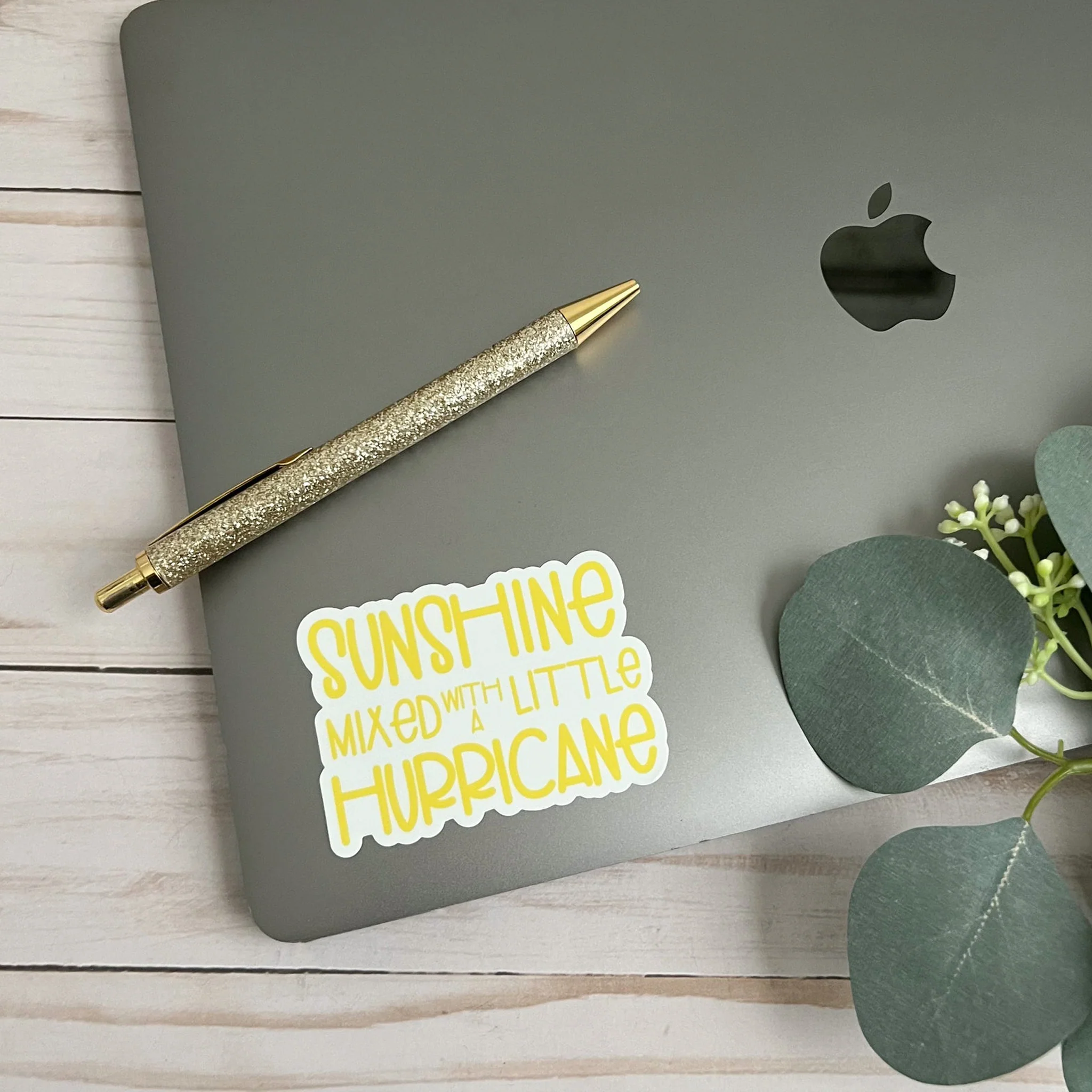 Sunshine Mixed With A Little Hurricane Vinyl Sticker - Image 2