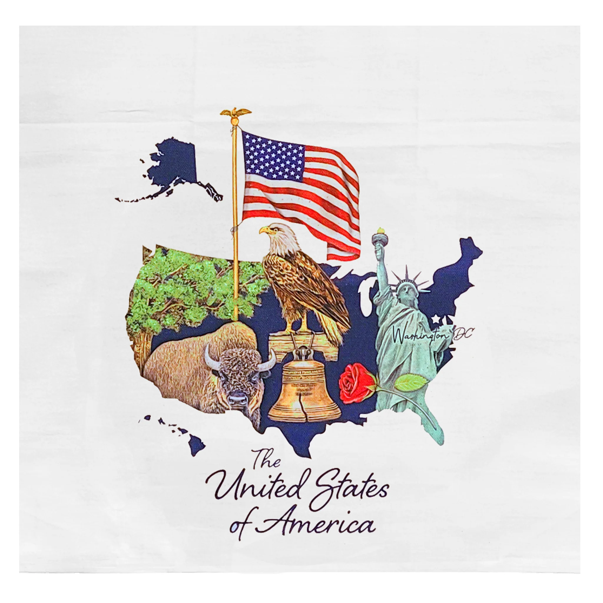 United States of America Symbols Kitchen Towel - Image 2